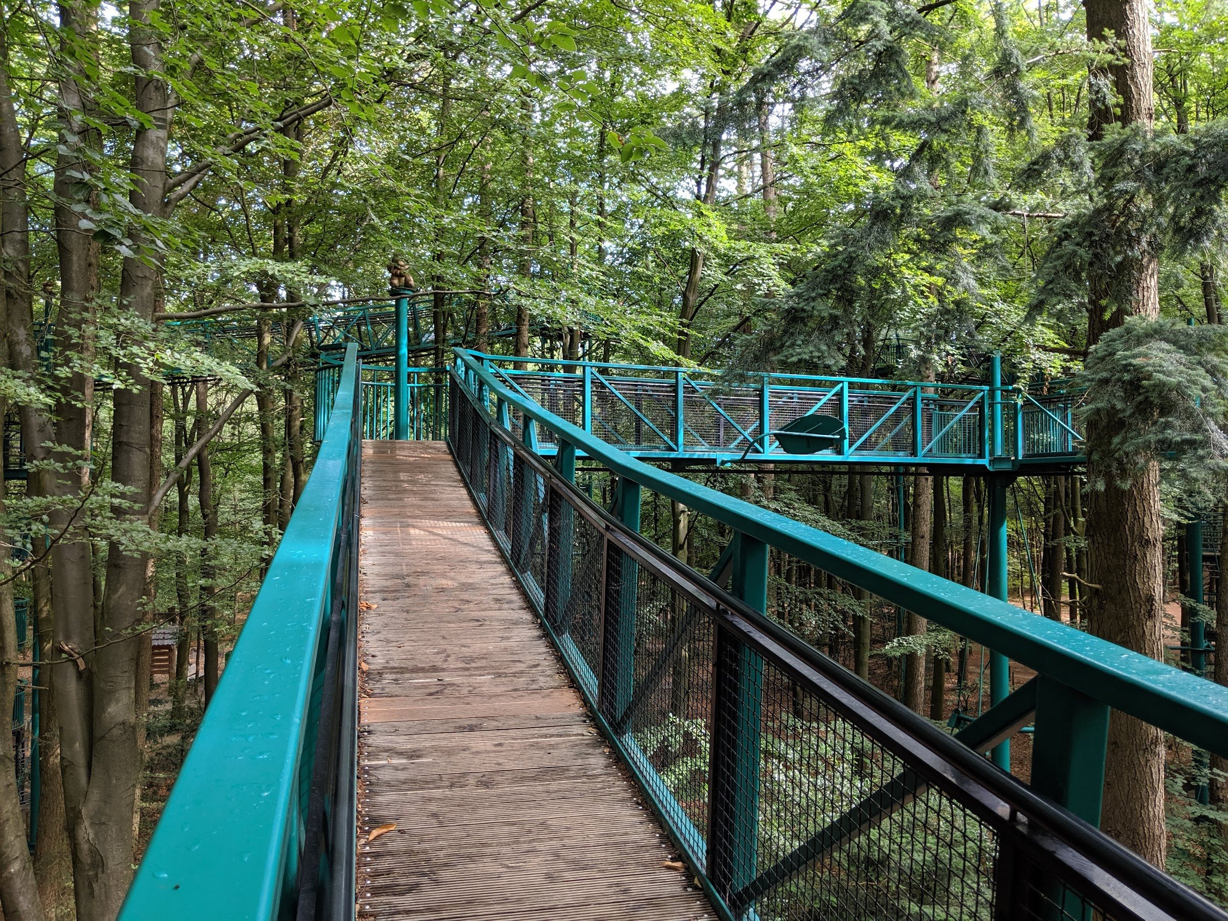 Outdoor Center Boomkroonpad (Boomkroonpad treetop walkway)
